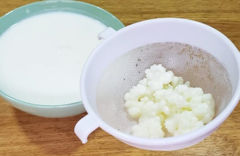 kefir